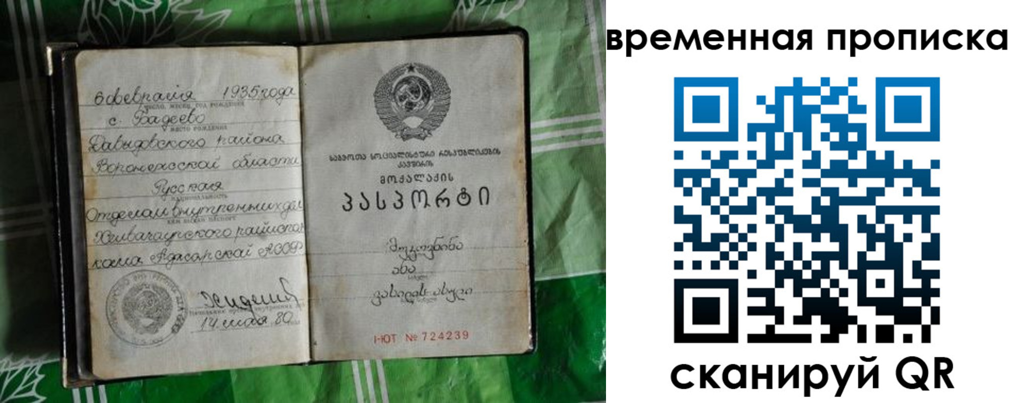 прописка в Сертолово